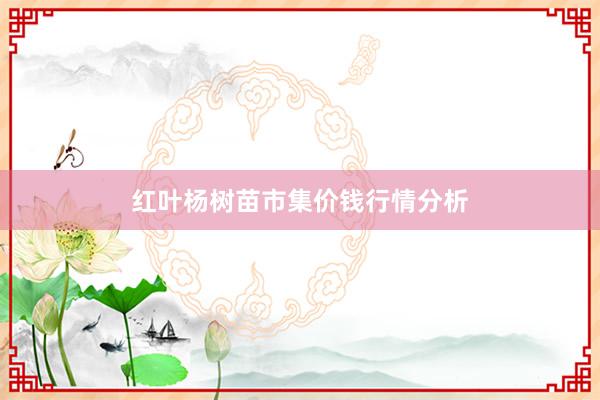 红叶杨树苗市集价钱行情分析
