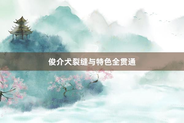 俊介犬裂缝与特色全贯通