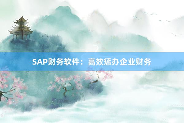SAP财务软件：高效惩办企业财务